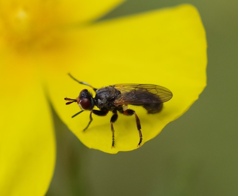 5b71e15bd0-mosca13ago1.jpg