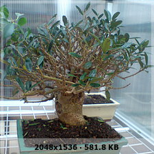 5b84276f9d882ab943c051b01bf9a95do.jpg