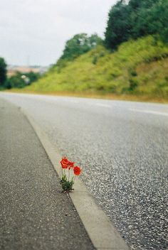 5b9b9d0a599ec310a435aa520a7a5678.jpg