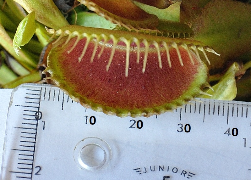 5d7ff60593e9e.jfif.jpg