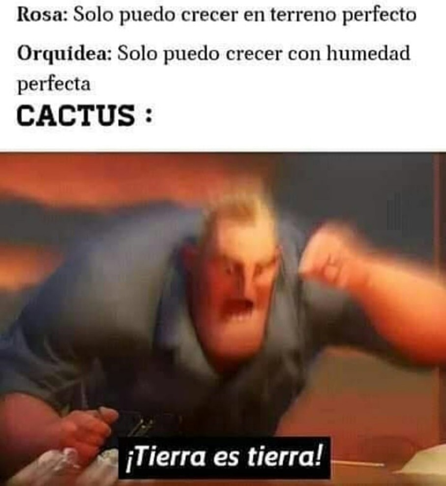 5e2488877c68d.jpe