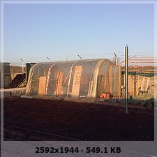 5e914e863445e2ecd38b1f37e4ce87edo.jpg
