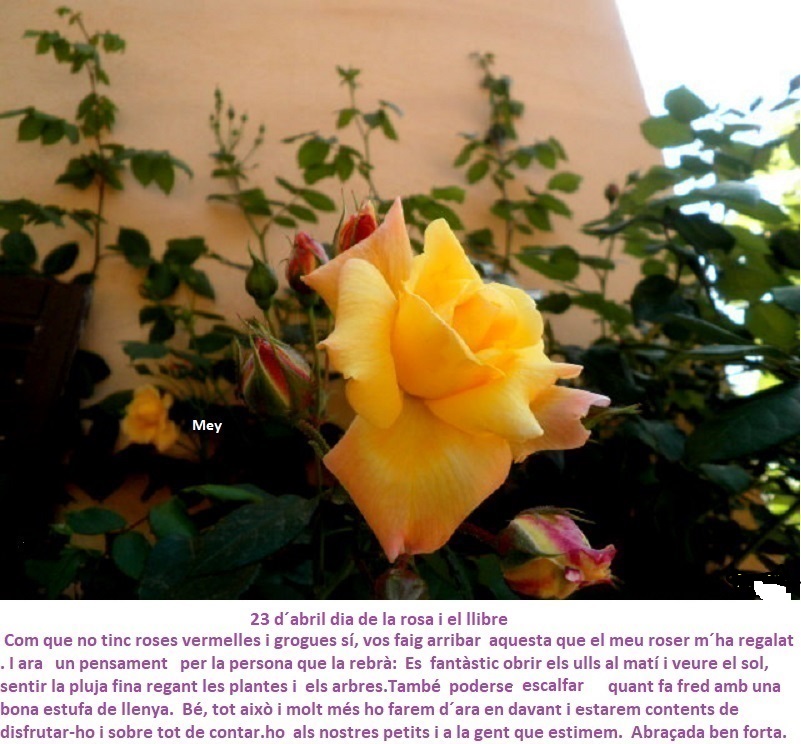 5ea169cd7ce98.jfif.jpg