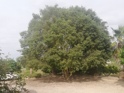 5ed65caa7b99d.jfif.jpg