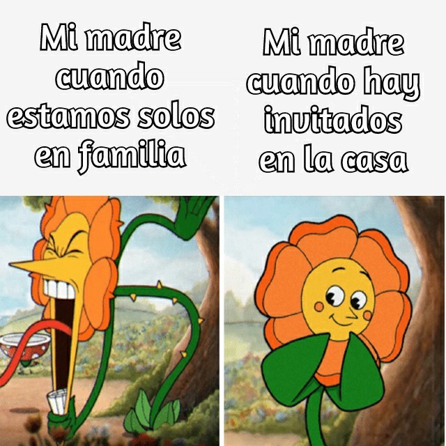 5fa96c09c281d.jpe