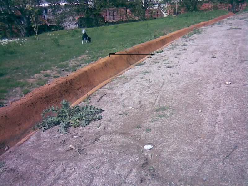 5n29n8.jpg