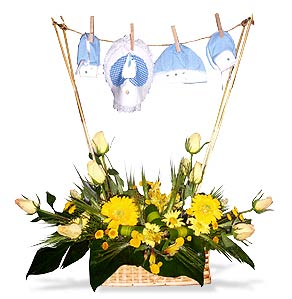 5r4412rosas_292.jpg