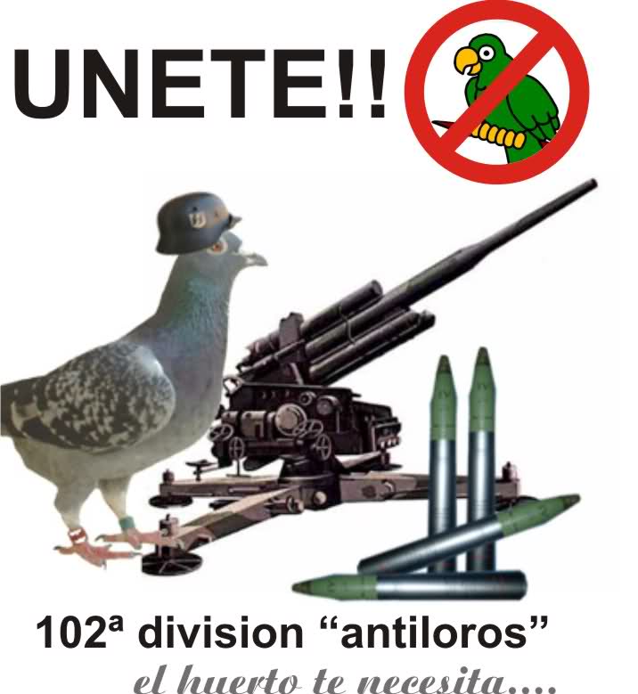 5y7ozr.jpg