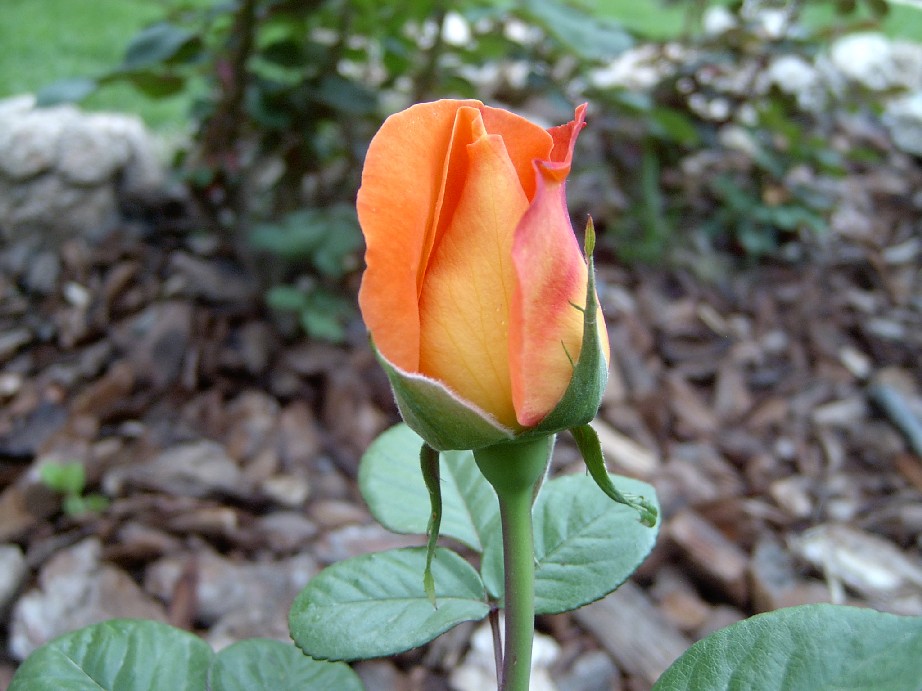 6%20Abril%2001.jpg