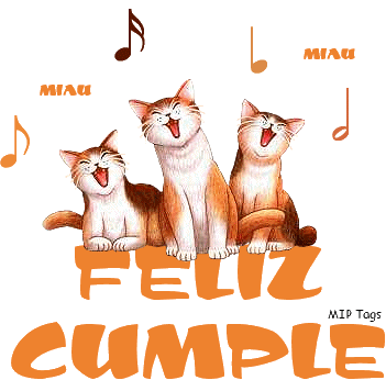 6.gif