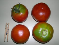 60.jpg