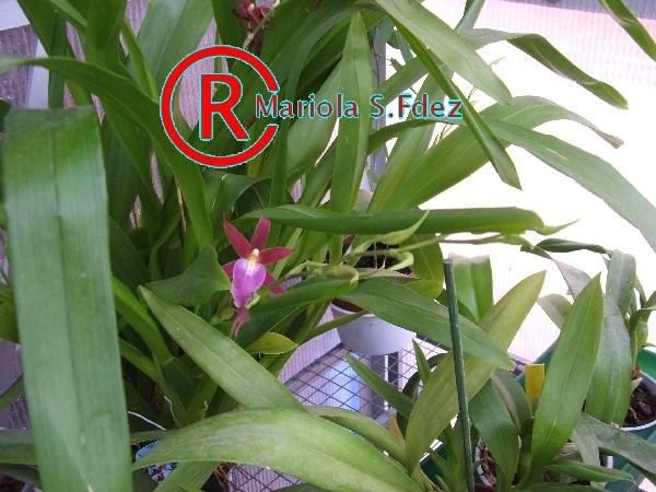 600DSCF6266.JPG