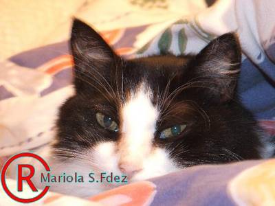 600DSCF6801.JPG