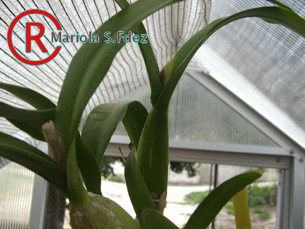 600DSCF7050.JPG