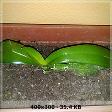 600eaa86fd7730d1a5c99aa5eaf38024o.jpg