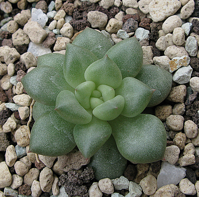 6019645102_cae1769ce9_z.jpg