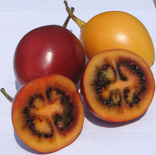 603px-Tamarillos.jpg