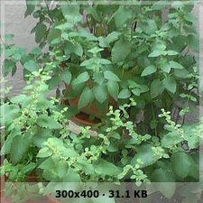 60dc5ed3440daecbe648371e57783c9bo.jpg