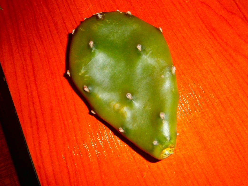 6102339a.jpg