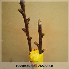 61049db187b412a93f6c988e61fcbaebo.jpg