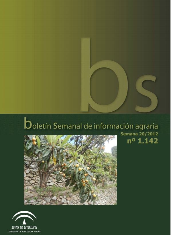 61626674.jpg
