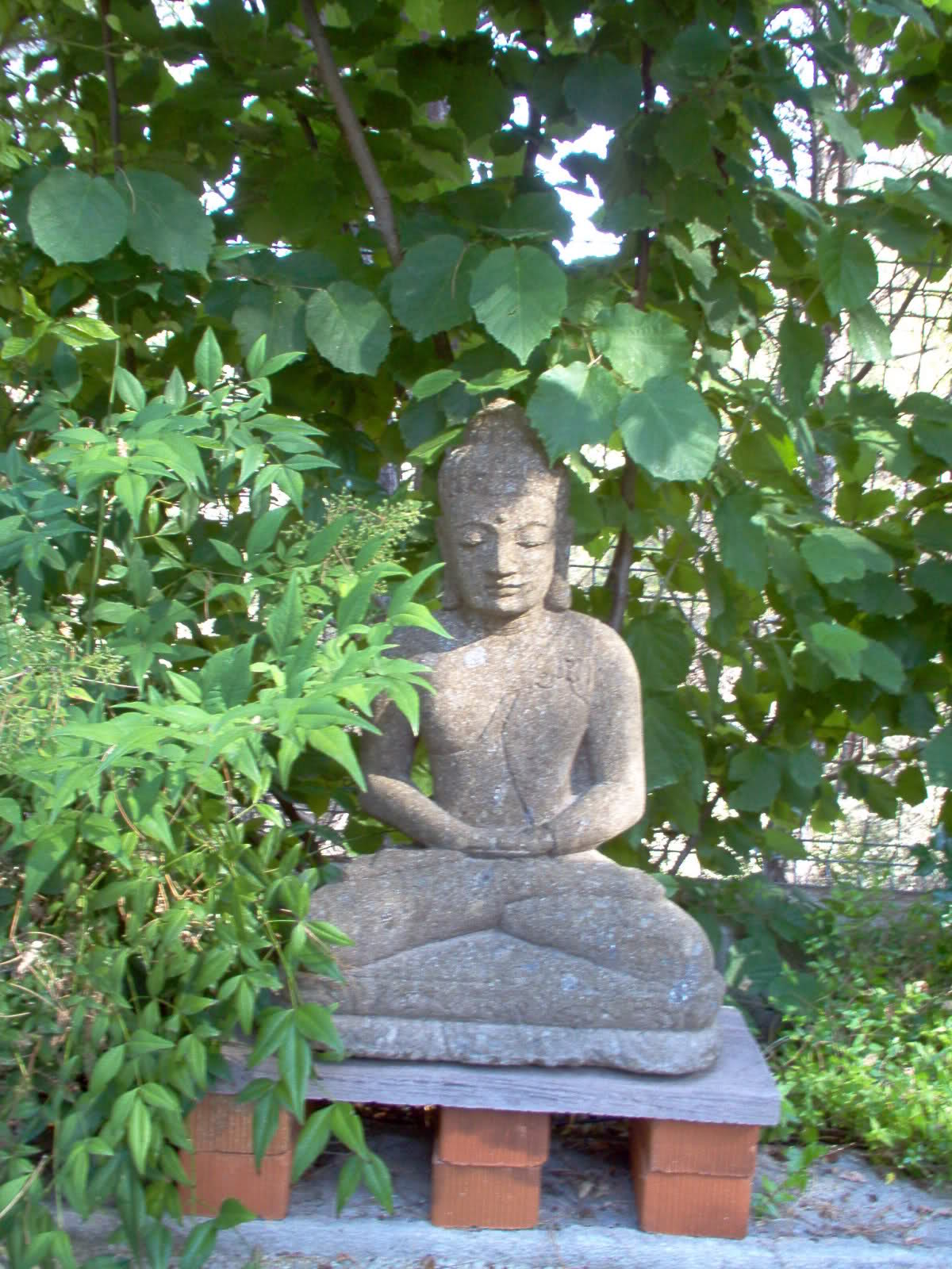 61vysr5.jpg
