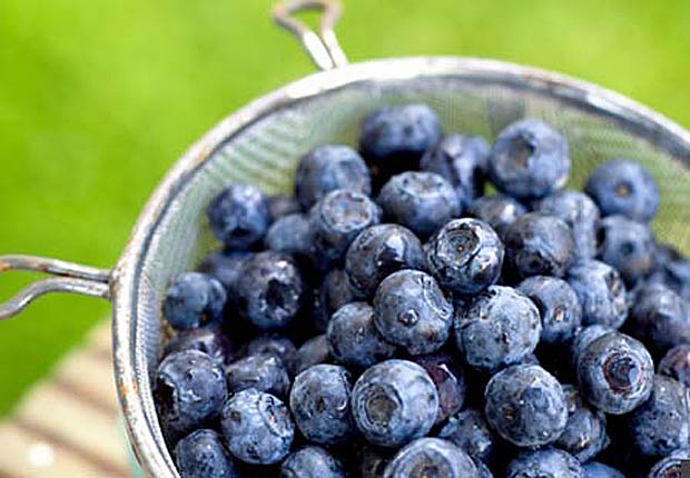 620-foods-for-hypertension-blueberries1-esp.imgcache.rev1362591283637.jpg
