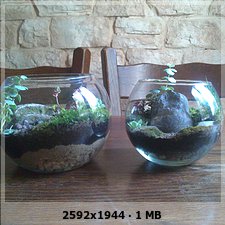 6217aa77b5fcb9a334e58f92af398c3do.jpg