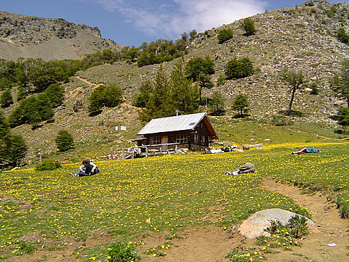 627530.jpg