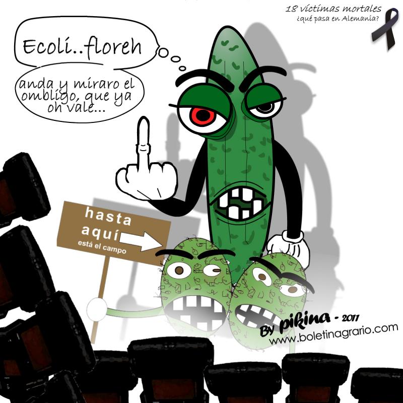6281ecotenda.jpg