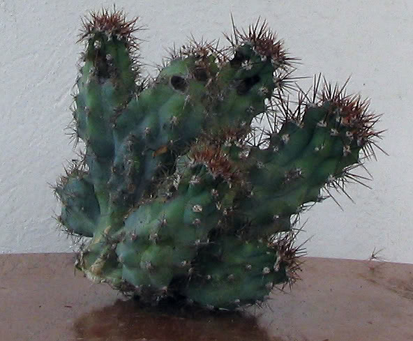 62_A.jpg