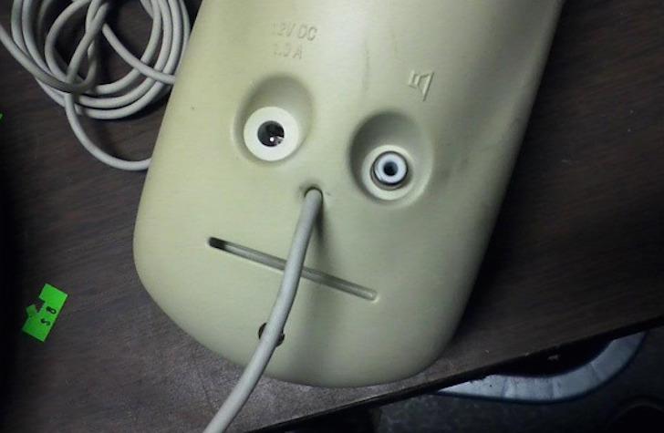 62f6c274f39a9.jfif.jpg