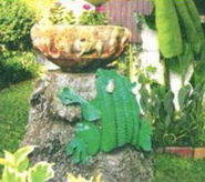 63053348_zhaba.jpg