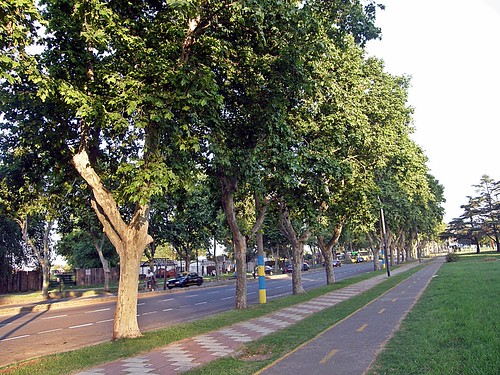 6310597666_7ac0fa8398.jpg
