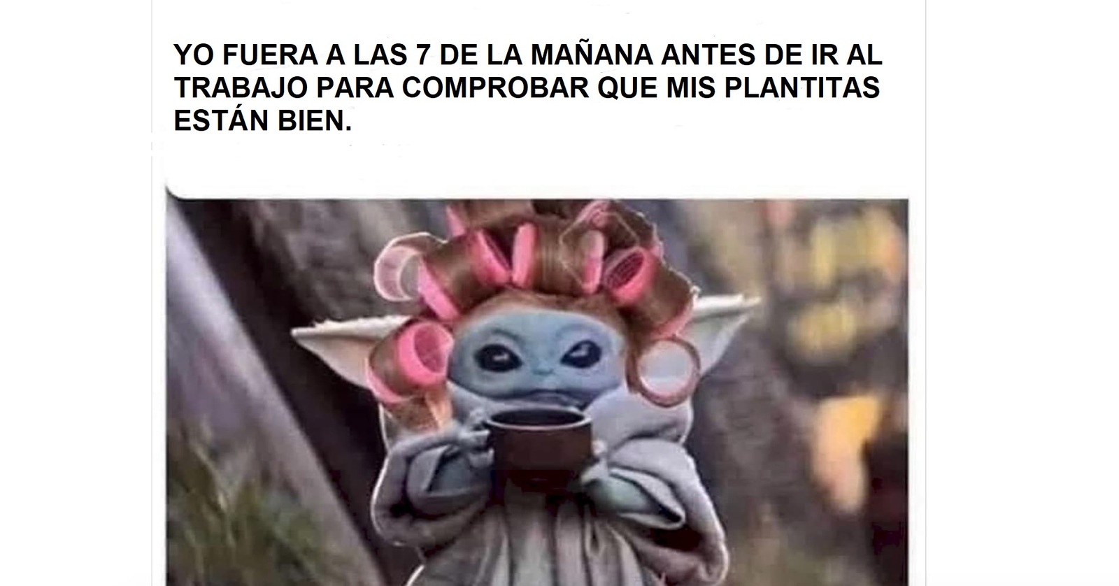 6322a3b67b92d.jfif.jpg