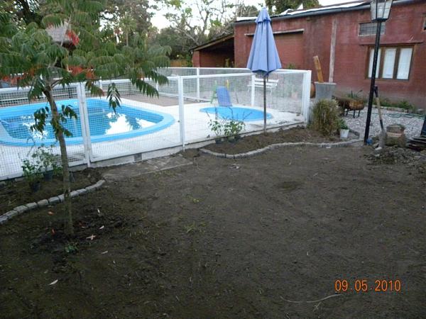 6351d1273443833t-ayuda-en-diseno-y-eleccion-de-plantas-dscn1649.jpg