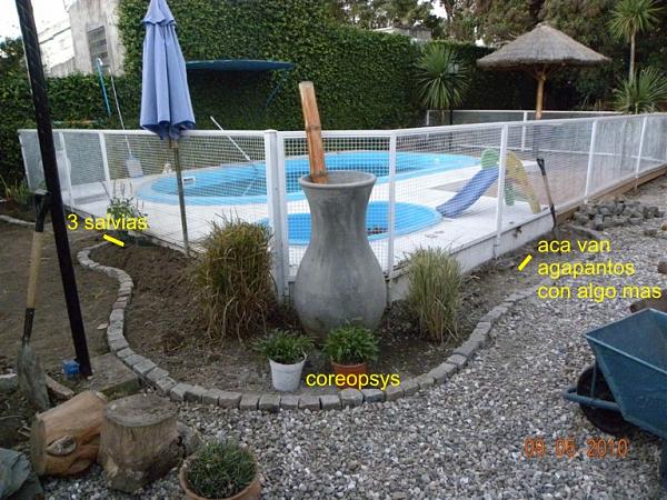 6352d1273443833t-ayuda-en-diseno-y-eleccion-de-plantas-dscn1650-b.jpg