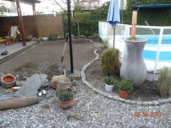 6353d1273443833t-ayuda-en-diseno-y-eleccion-de-plantas-dscn1651.jpg