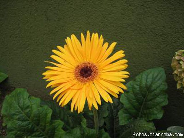 63847c73.jpg