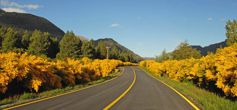 639-Futaleufu-ruta-retamas.jpg