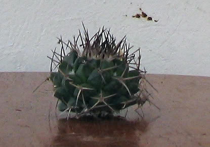 63_A.jpg