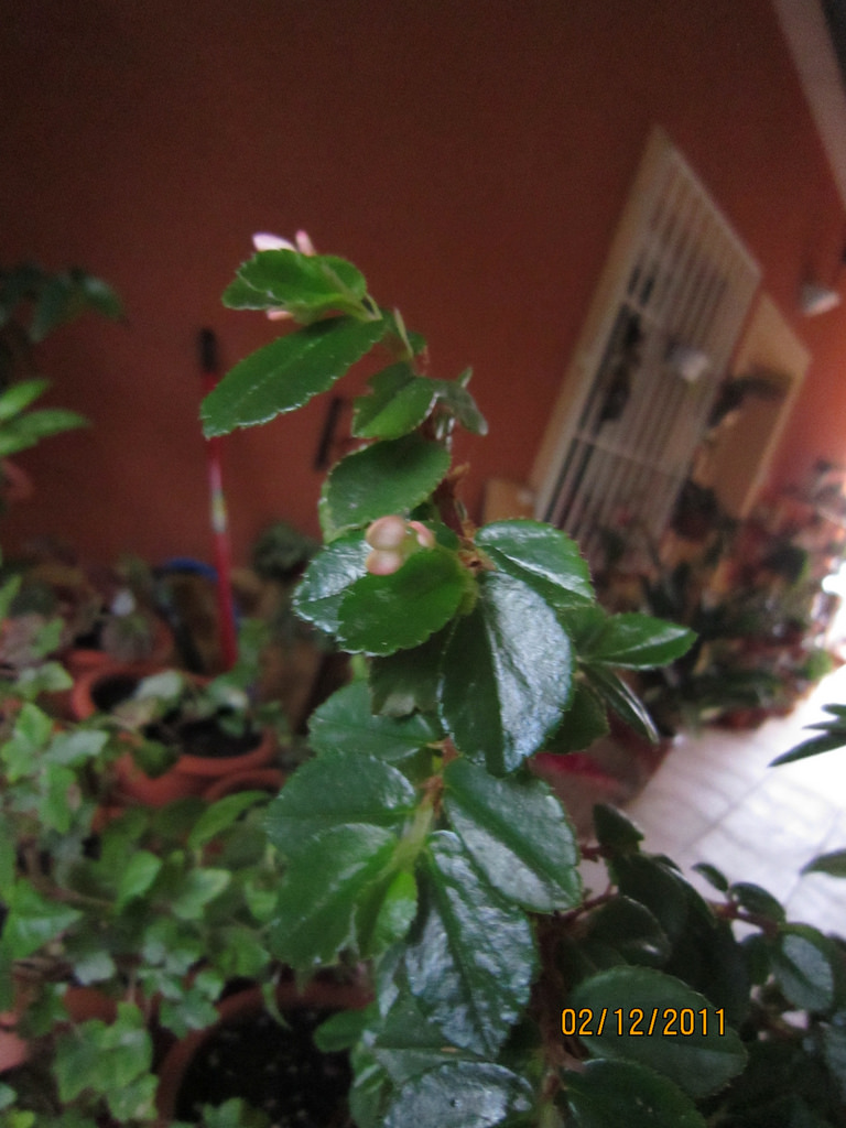 6441991957_f6529eae29_b.jpg