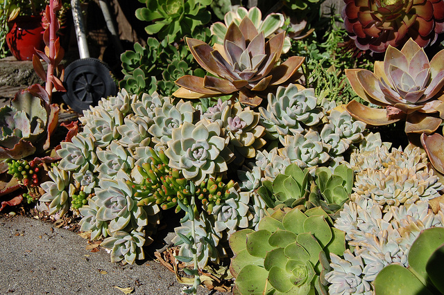 6449775963_c93cc6ab79_z.jpg