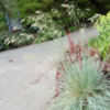 64922b_tn.jpg