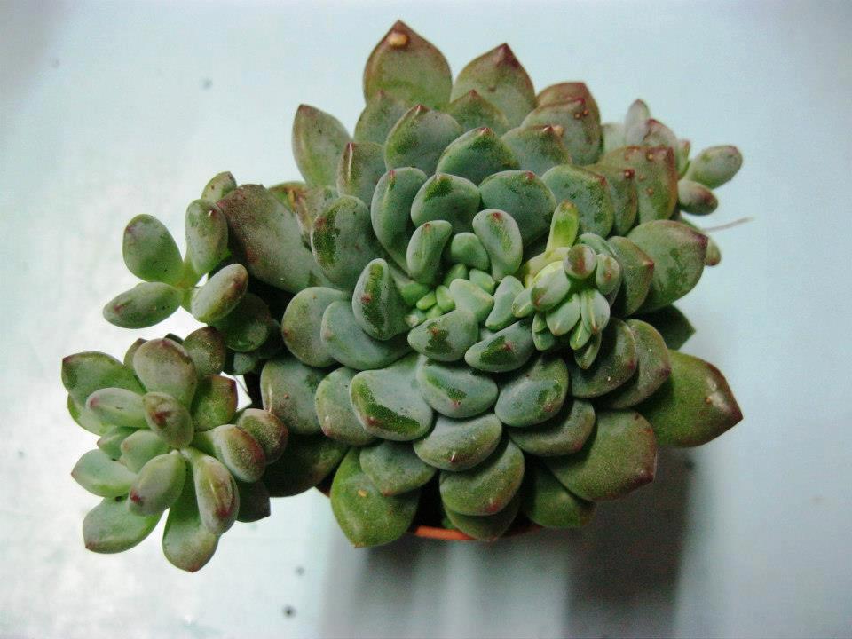 64949_599214853427236_1417157007_n_zps5d25d75d.jpg