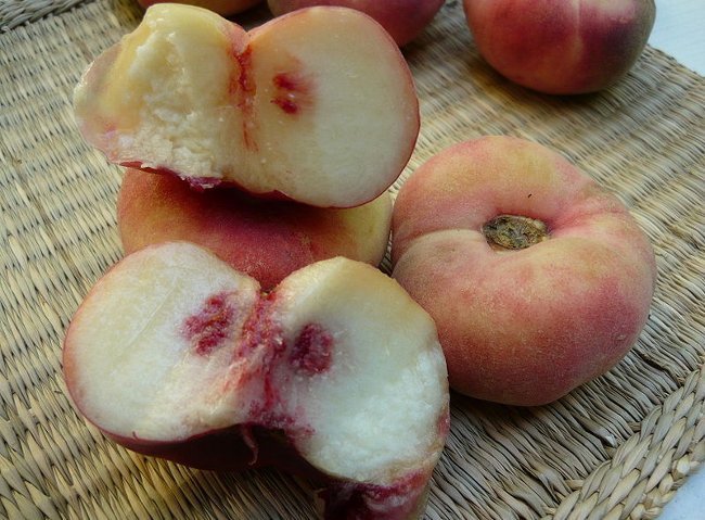 650_1200.jpg