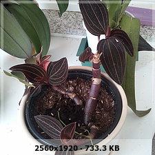 651b2fcb5dd790db5bc25108c35a60aeo.jpg