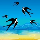 6568473-golondrina-volando-al-cielo-arte-ilustracion.jpg