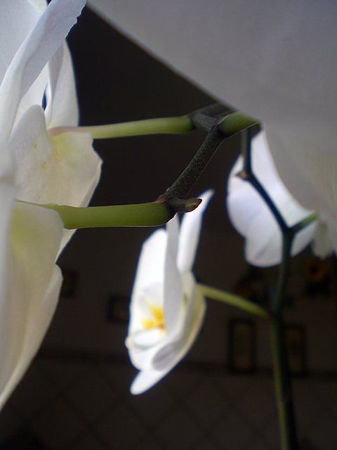 65d69186.jpg