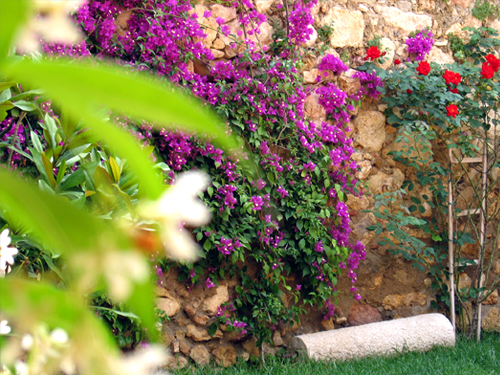 664_casa_rural_flores.jpg